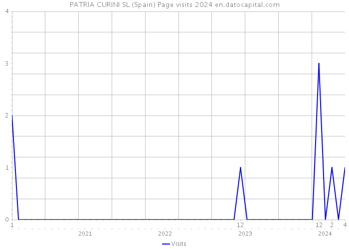 PATRIA CURINI SL (Spain) Page visits 2024 