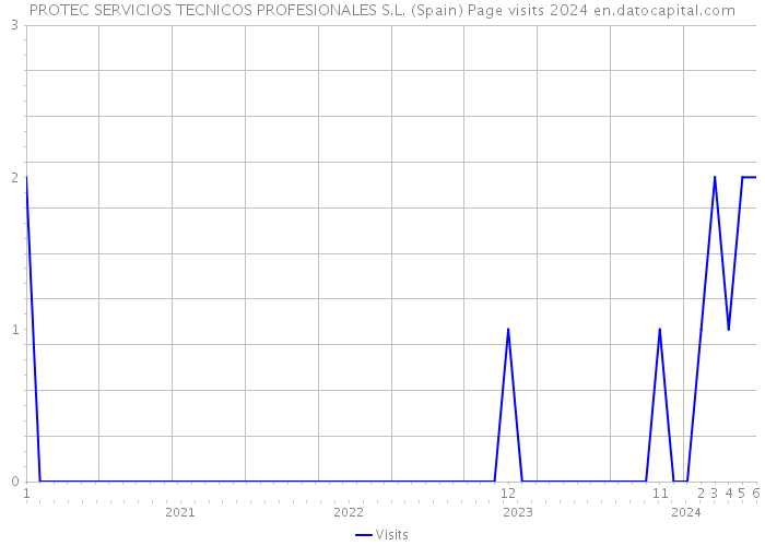 PROTEC SERVICIOS TECNICOS PROFESIONALES S.L. (Spain) Page visits 2024 