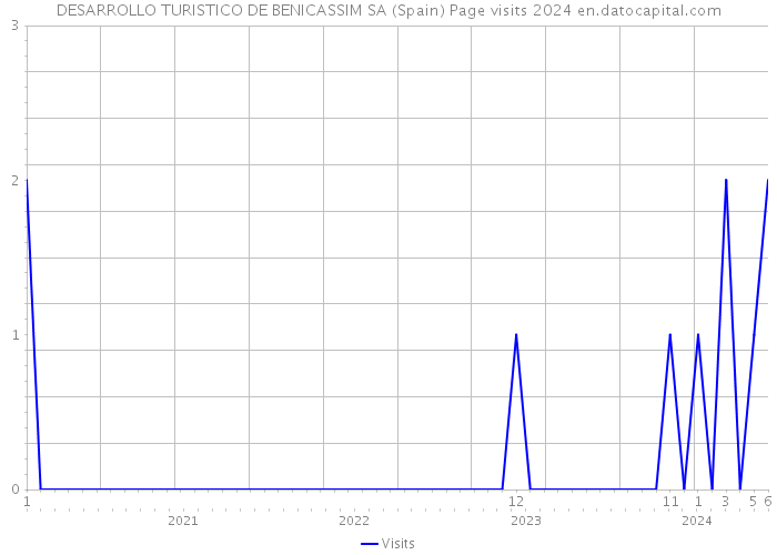 DESARROLLO TURISTICO DE BENICASSIM SA (Spain) Page visits 2024 