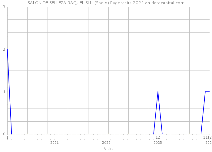 SALON DE BELLEZA RAQUEL SLL. (Spain) Page visits 2024 