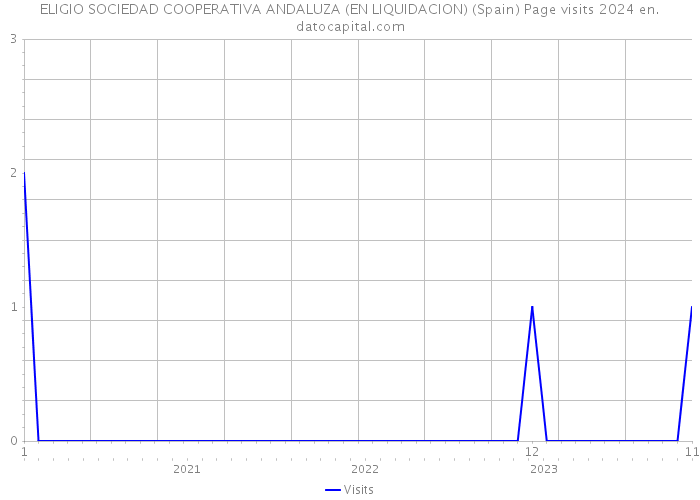 ELIGIO SOCIEDAD COOPERATIVA ANDALUZA (EN LIQUIDACION) (Spain) Page visits 2024 