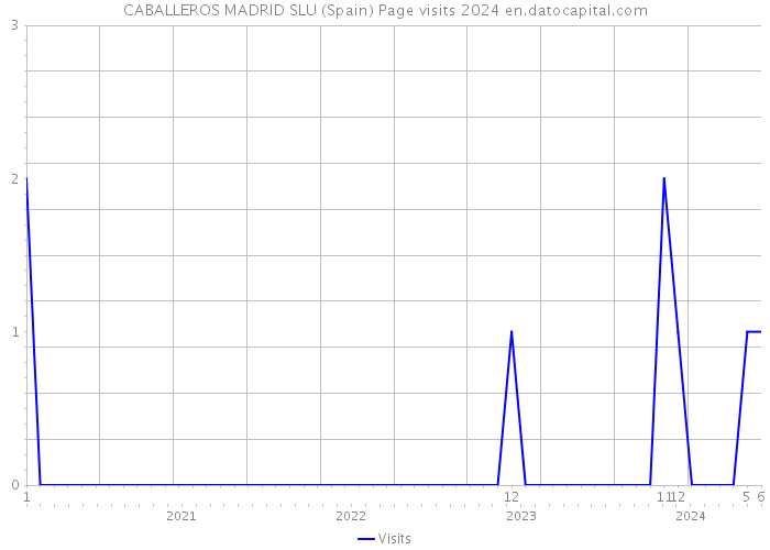 CABALLEROS MADRID SLU (Spain) Page visits 2024 