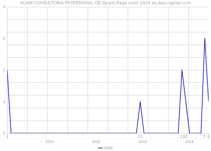 ADAM CONSULTORIA PROFESIONAL CB (Spain) Page visits 2024 