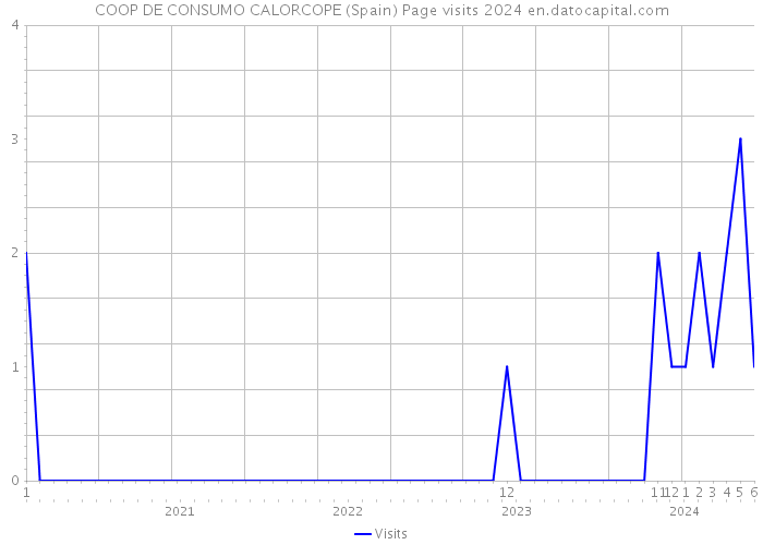 COOP DE CONSUMO CALORCOPE (Spain) Page visits 2024 