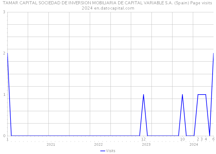 TAMAR CAPITAL SOCIEDAD DE INVERSION MOBILIARIA DE CAPITAL VARIABLE S.A. (Spain) Page visits 2024 