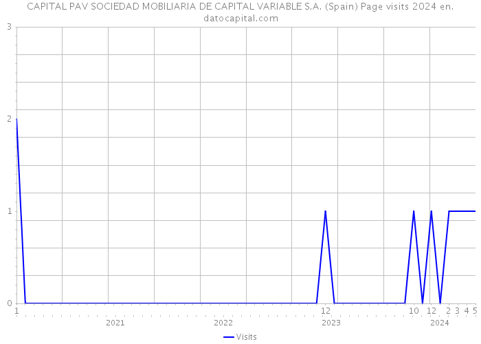 CAPITAL PAV SOCIEDAD MOBILIARIA DE CAPITAL VARIABLE S.A. (Spain) Page visits 2024 