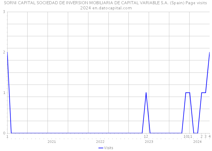 SORNI CAPITAL SOCIEDAD DE INVERSION MOBILIARIA DE CAPITAL VARIABLE S.A. (Spain) Page visits 2024 