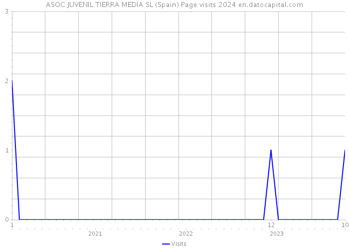 ASOC JUVENIL TIERRA MEDIA SL (Spain) Page visits 2024 