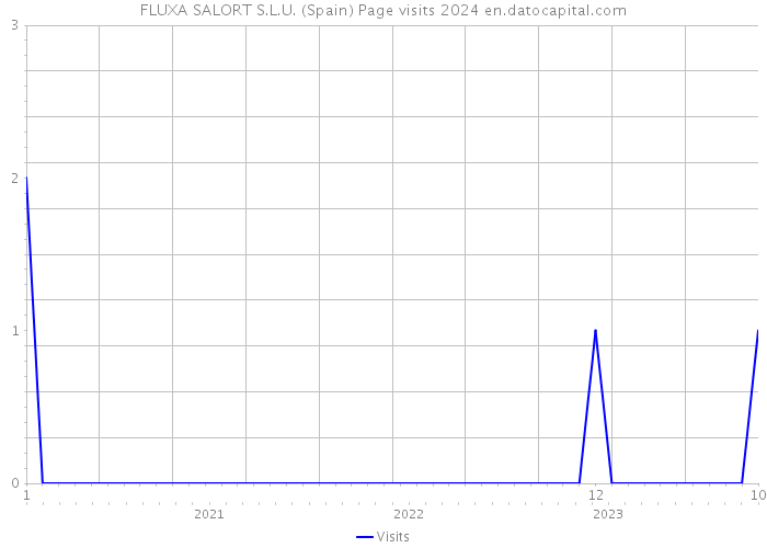 FLUXA SALORT S.L.U. (Spain) Page visits 2024 