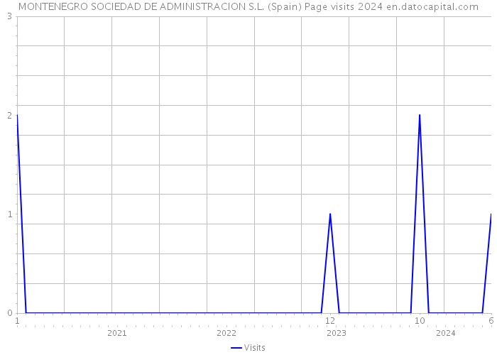 MONTENEGRO SOCIEDAD DE ADMINISTRACION S.L. (Spain) Page visits 2024 