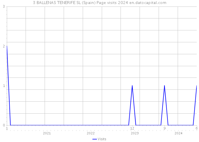3 BALLENAS TENERIFE SL (Spain) Page visits 2024 