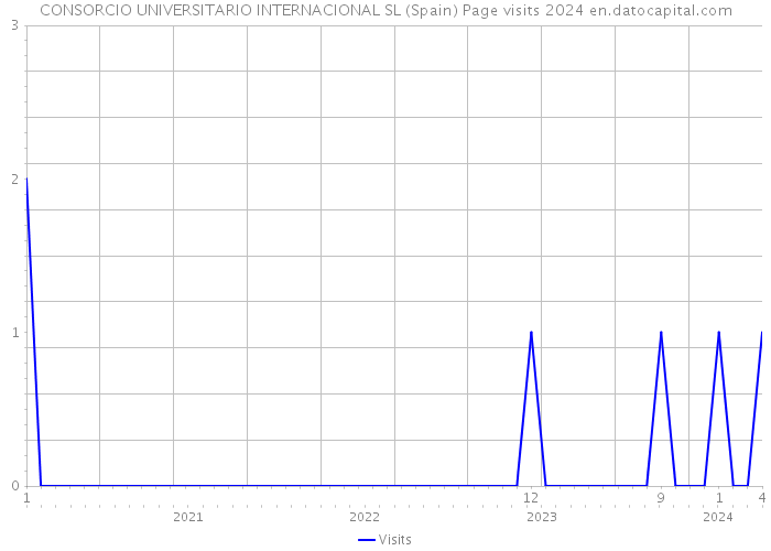 CONSORCIO UNIVERSITARIO INTERNACIONAL SL (Spain) Page visits 2024 