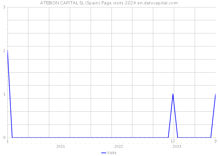 ATEBION CAPITAL SL (Spain) Page visits 2024 