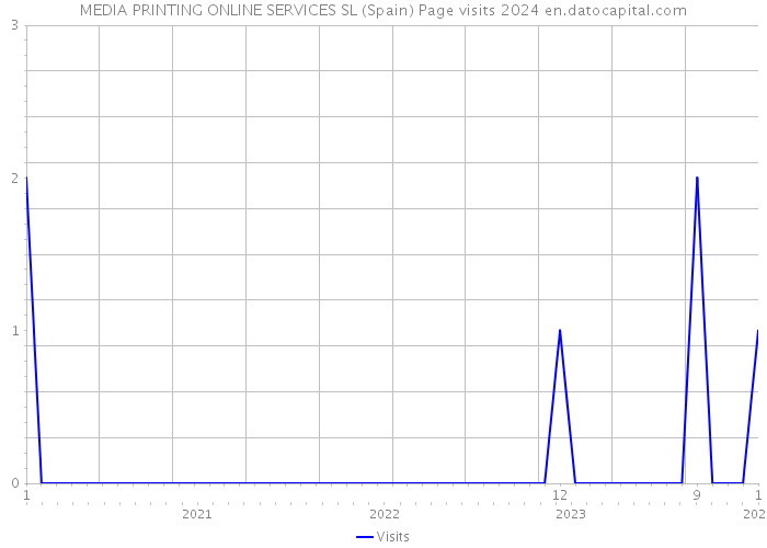 MEDIA PRINTING ONLINE SERVICES SL (Spain) Page visits 2024 