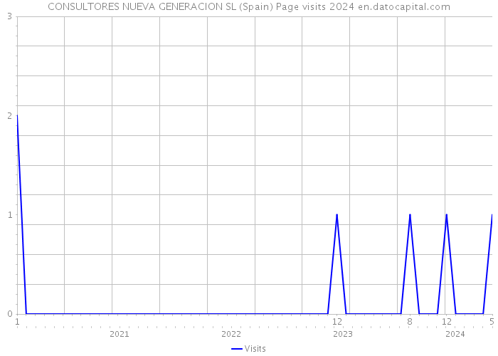 CONSULTORES NUEVA GENERACION SL (Spain) Page visits 2024 