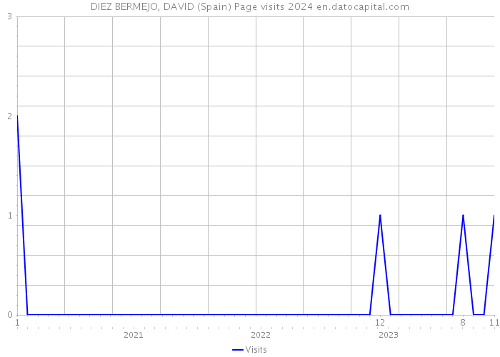 DIEZ BERMEJO, DAVID (Spain) Page visits 2024 