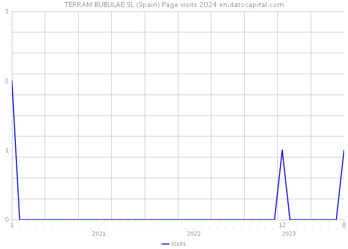 TERRAM BUBULAE SL (Spain) Page visits 2024 