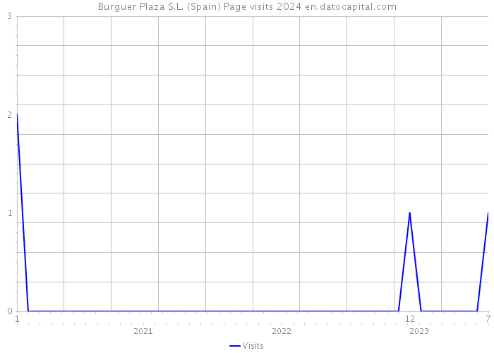 Burguer Plaza S.L. (Spain) Page visits 2024 