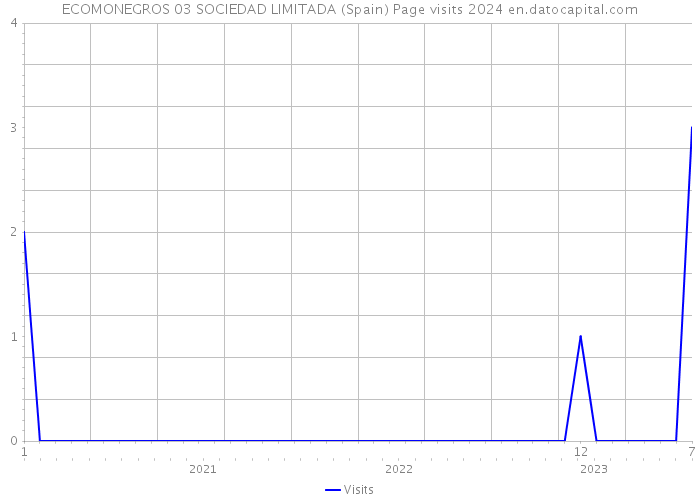 ECOMONEGROS 03 SOCIEDAD LIMITADA (Spain) Page visits 2024 