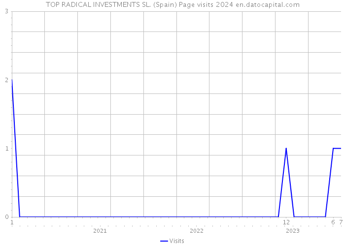 TOP RADICAL INVESTMENTS SL. (Spain) Page visits 2024 