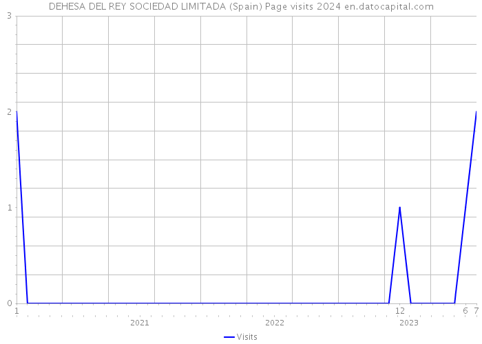 DEHESA DEL REY SOCIEDAD LIMITADA (Spain) Page visits 2024 