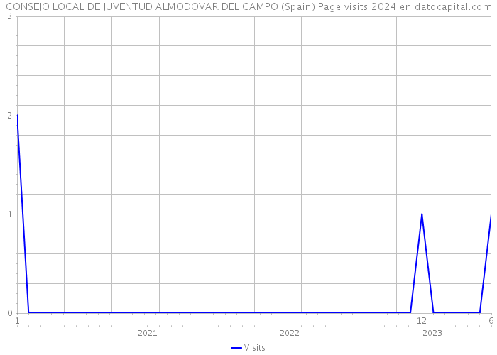 CONSEJO LOCAL DE JUVENTUD ALMODOVAR DEL CAMPO (Spain) Page visits 2024 