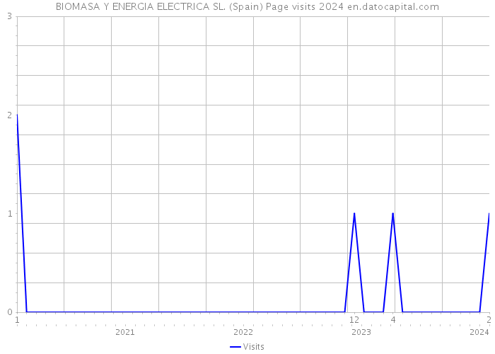 BIOMASA Y ENERGIA ELECTRICA SL. (Spain) Page visits 2024 
