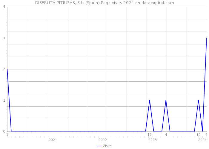 DISFRUTA PITIUSAS, S.L. (Spain) Page visits 2024 
