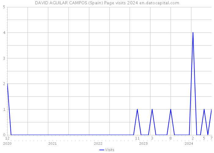 DAVID AGUILAR CAMPOS (Spain) Page visits 2024 