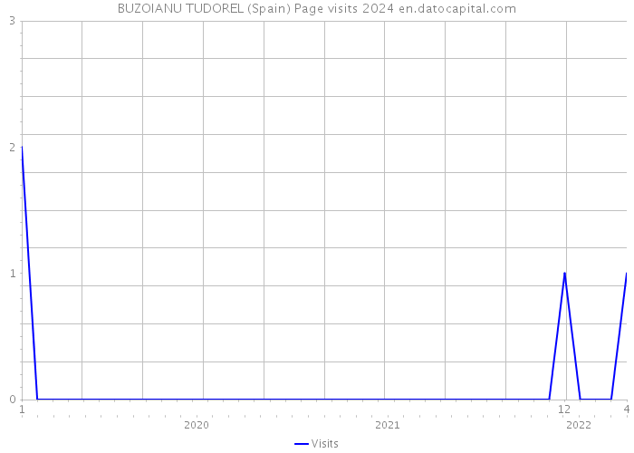 BUZOIANU TUDOREL (Spain) Page visits 2024 