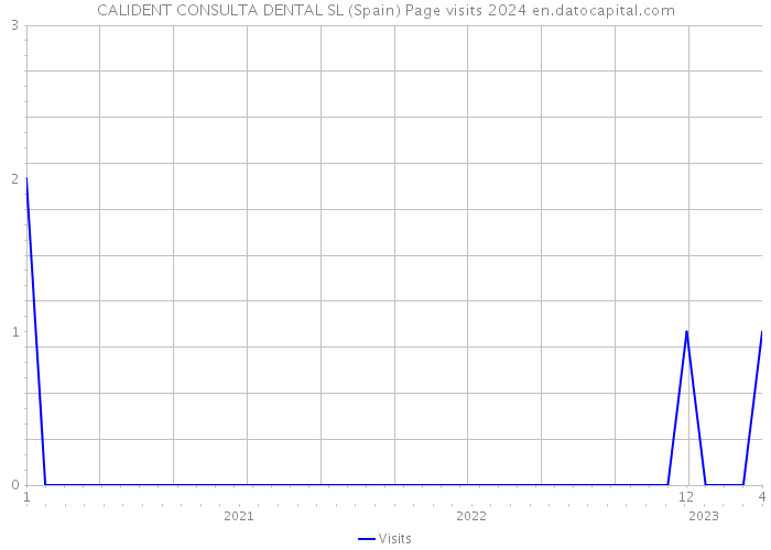CALIDENT CONSULTA DENTAL SL (Spain) Page visits 2024 