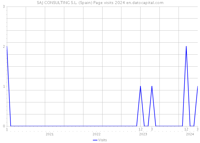 SAJ CONSULTING S.L. (Spain) Page visits 2024 