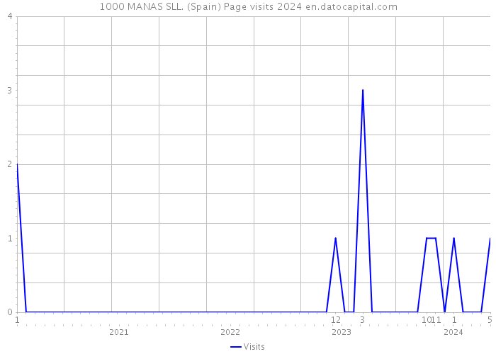 1000 MANAS SLL. (Spain) Page visits 2024 