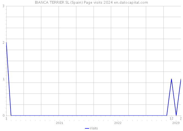 BIANCA TERRIER SL (Spain) Page visits 2024 