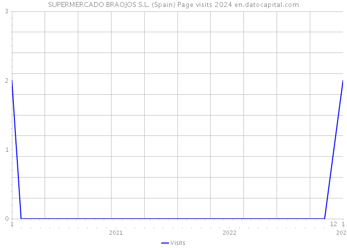 SUPERMERCADO BRAOJOS S.L. (Spain) Page visits 2024 