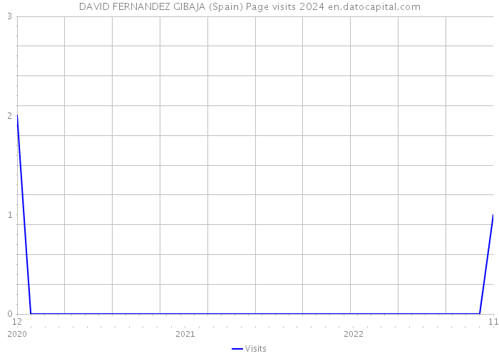 DAVID FERNANDEZ GIBAJA (Spain) Page visits 2024 