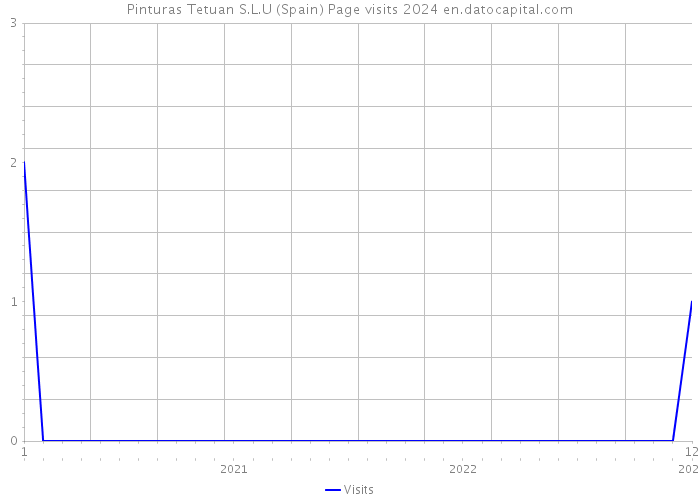 Pinturas Tetuan S.L.U (Spain) Page visits 2024 