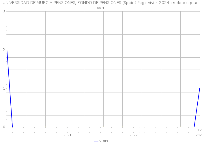 UNIVERSIDAD DE MURCIA PENSIONES, FONDO DE PENSIONES (Spain) Page visits 2024 