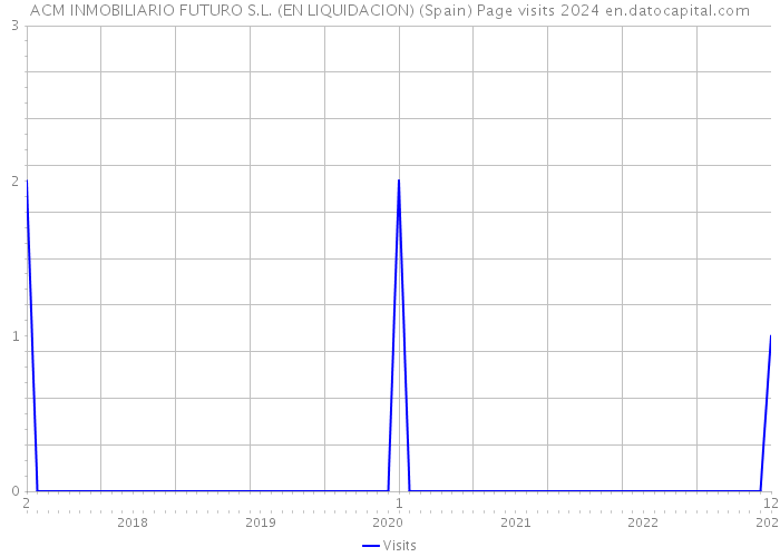 ACM INMOBILIARIO FUTURO S.L. (EN LIQUIDACION) (Spain) Page visits 2024 