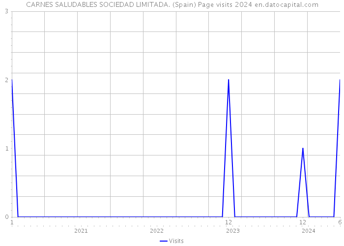 CARNES SALUDABLES SOCIEDAD LIMITADA. (Spain) Page visits 2024 