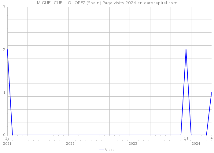 MIGUEL CUBILLO LOPEZ (Spain) Page visits 2024 