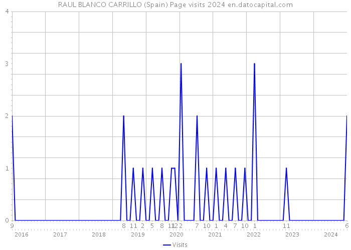RAUL BLANCO CARRILLO (Spain) Page visits 2024 