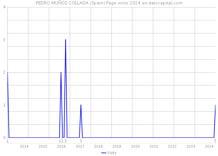 PEDRO MUÑOZ COLLADA (Spain) Page visits 2024 