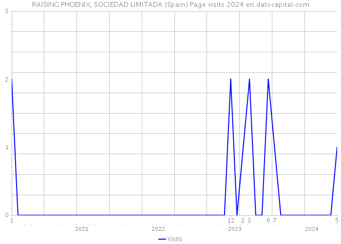 RAISING PHOENIX, SOCIEDAD LIMITADA (Spain) Page visits 2024 