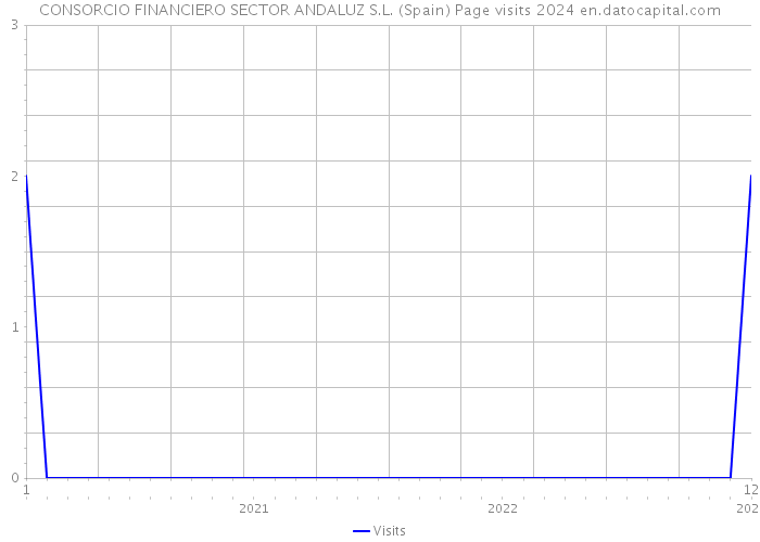 CONSORCIO FINANCIERO SECTOR ANDALUZ S.L. (Spain) Page visits 2024 