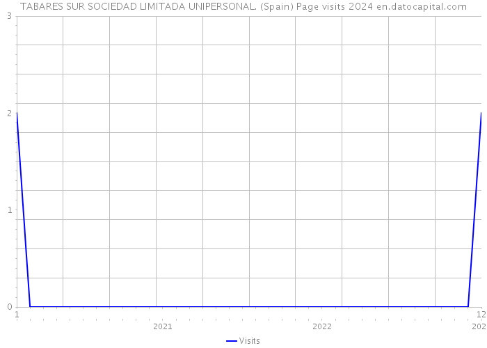 TABARES SUR SOCIEDAD LIMITADA UNIPERSONAL. (Spain) Page visits 2024 