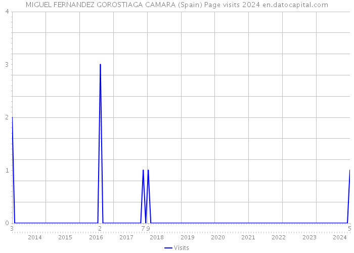 MIGUEL FERNANDEZ GOROSTIAGA CAMARA (Spain) Page visits 2024 