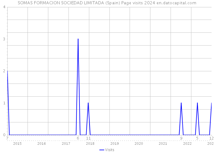 SOMAS FORMACION SOCIEDAD LIMITADA (Spain) Page visits 2024 