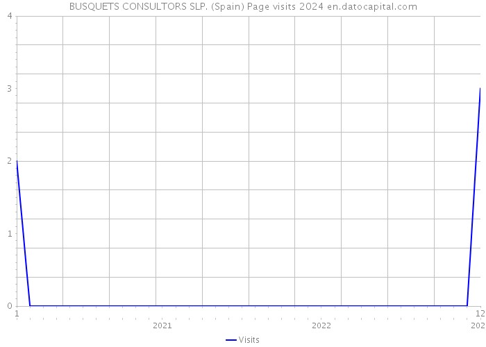 BUSQUETS CONSULTORS SLP. (Spain) Page visits 2024 