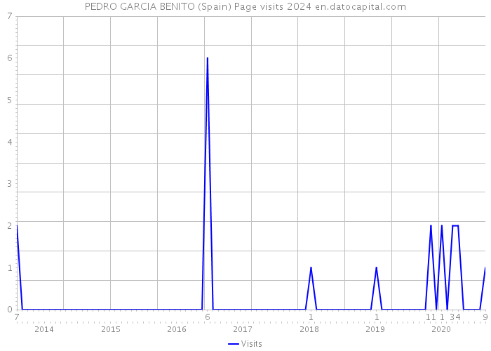 PEDRO GARCIA BENITO (Spain) Page visits 2024 